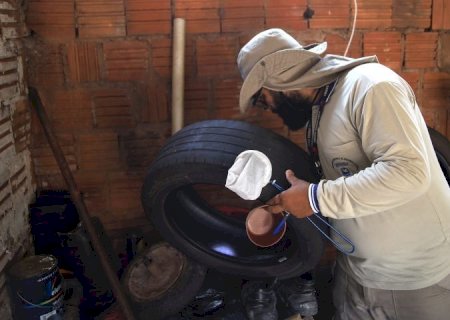 MS registra 6.360 casos confirmados de chikungunya