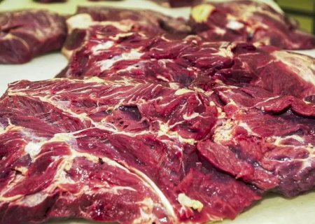 O que se sabe sobre veto da UE à importação de carne bovina do Brasil a partir de setembro