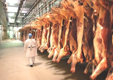 Exportações de carne bovina disparam em 2026 e Brasil ultrapassa US$ 6 bilhões em receita