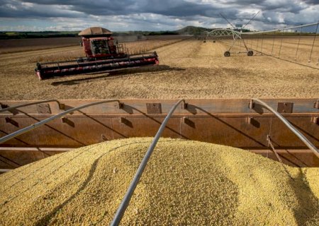 Colheita de soja 2025/26 é concluída no Brasil, afirma Conab