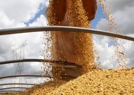 Conab: Brasil deve confirmar recorde na produção de grãos