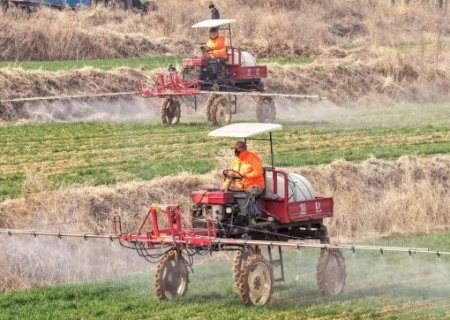 Preços dos fertilizantes despencam com fim de interrupções no Oriente Médio
