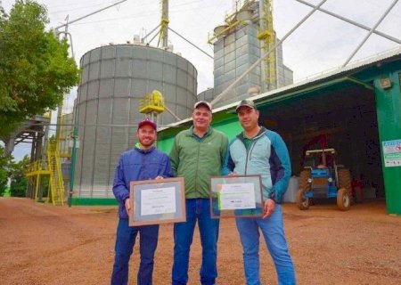 Milho brasileiro ultrapassa 369 sacas por hectare em novo recorde histórico