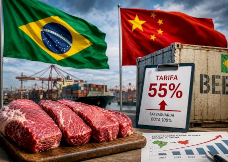 Brasil já ocupa 78% da cota chinesa, que pode se esgotar em julho e gera reação no mercado da carne bovina