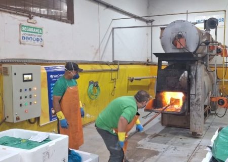 Operação inédita destrói 1 tonelada de medicamentos irregulares e reforça combate ao mercado clandestino