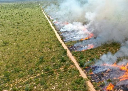 Decreto de emergência ambiental reforça preparação do Governo de MS para enfrentamento a incêndios florestais