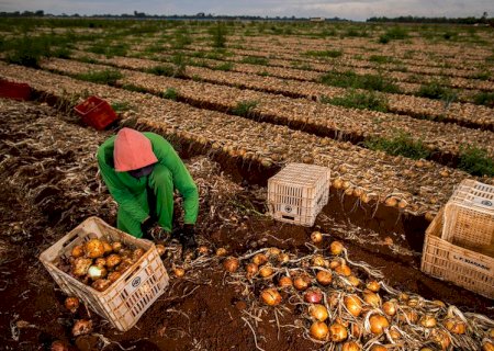 Em semana de votação histórica, governo abre ofensiva contra medidas que ajudam produtor rural
