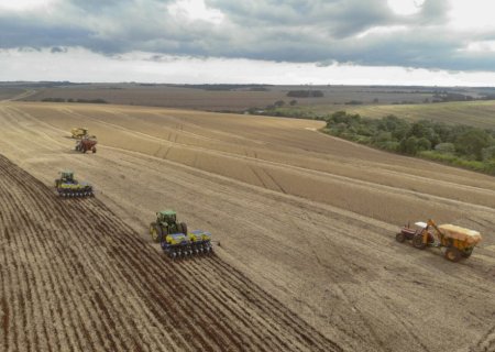 Super El Niño pode mudar calendário do manejo fitossanitário no Brasil