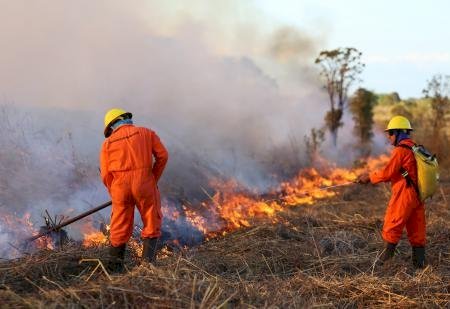 Queima controlada fica suspensa em Mato Grosso do Sul a partir de 1º de agosto