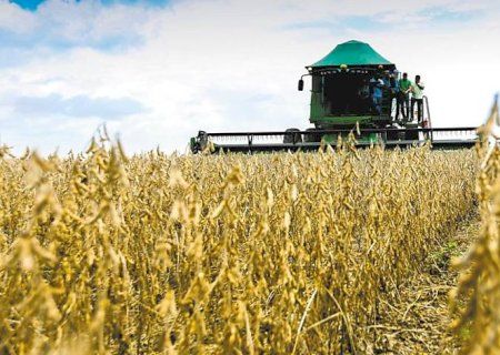 Vazio sanitário da soja prossegue até 15 de setembro em Mato Grosso do Sul