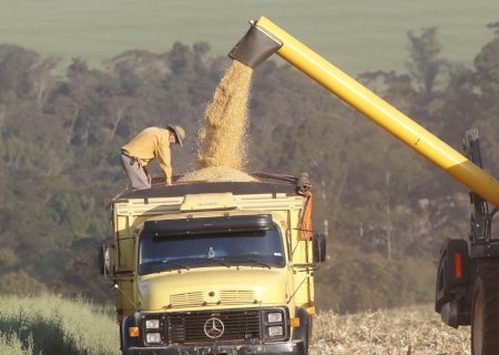 Veto ao Projeto dos Safristas mantém impasse sobre contratação de temporários no campo