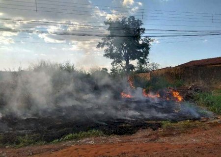 Multas por queimadas e sujeira podem passar de R$ 1,4 milhão