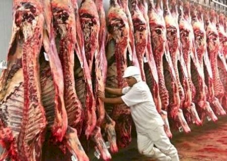 Frigoríficos reduzem até 40% dos abates em MS diante de pressão do mercado