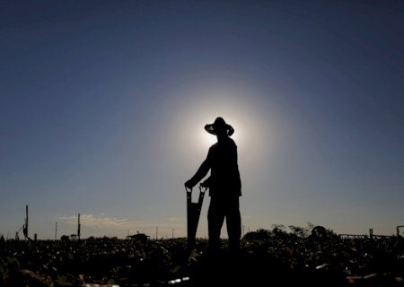 Créditos de carbono ampliam possibilidades de renda para produtores rurais