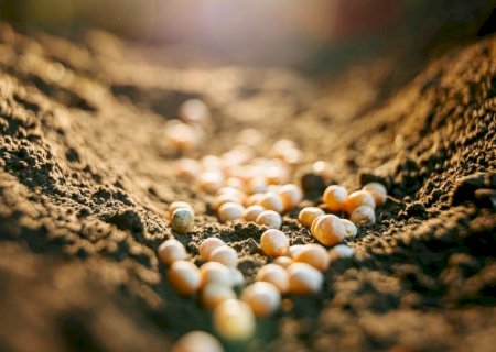 Instabilidade internacional causa aumento no preço de fertilizantes