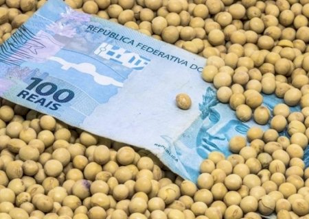 Governo demora a liberar recursos com juros mais baixos para plantio