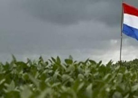 Soja do Paraguai caminha para safra recorde,enquanto clima pressiona milho