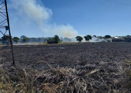 Fogo atinge área de mata às margens de rodovia em MS