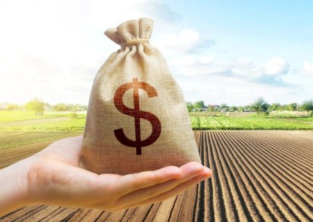 Plano Safra 2026/27: governo libera crédito com juros equalizados e destrava financiamentos no campo