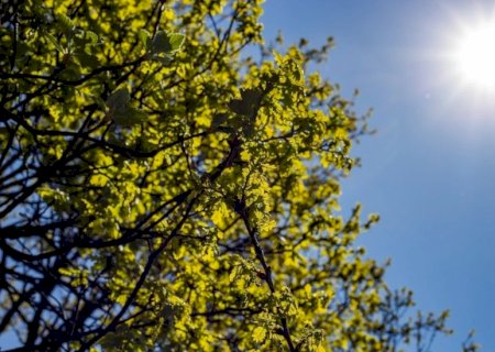 Semana começa com calor no Vale do Ivinhema e Leste de MS, mas frente fria traz chuva a partir de quarta-feira
