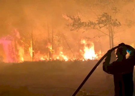 França e Espanha lutam para conter incêndios florestais