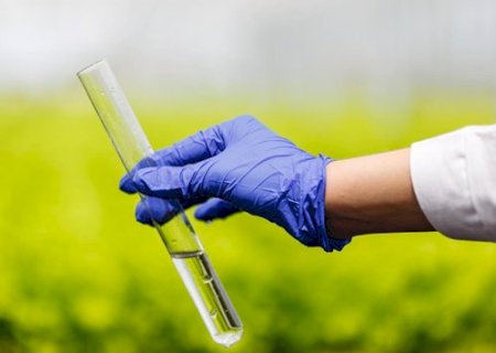 Com Brasil dependente de 85% dos fertilizantes importados, bioinsumos nacionais avançam como alternativa no campo