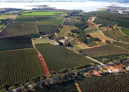 Receita Federal libera declaração do ITR pela internet e torna plataforma obrigatória para áreas acima de 100 hectares