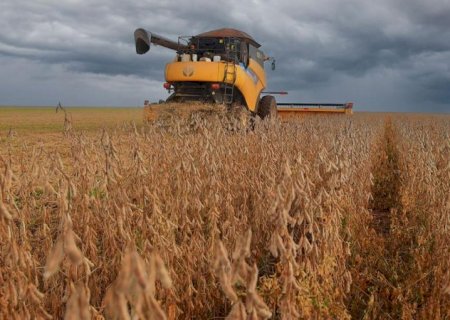 Produzir mais será desafio de políticas agrícolas diante da pressão sobre alimentos