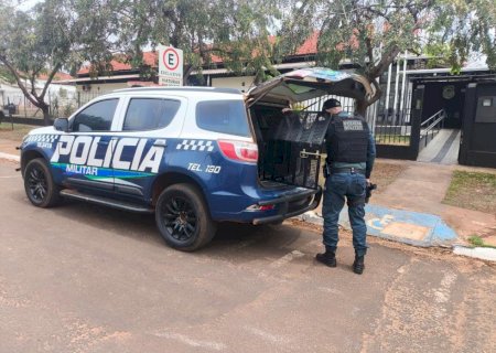 Polícia Militar atendeu ocorrência de descumprimento de medidas protetivas e ameaça de danos em Ivinhema