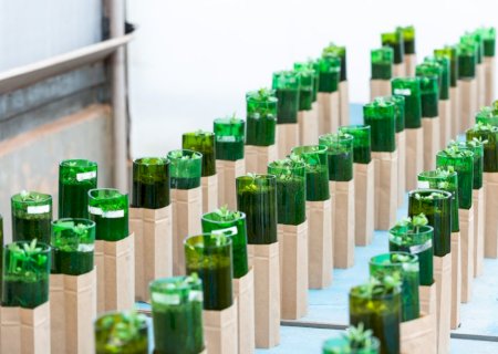 Desafios e oportunidades para microrganismos na agricultura centraliza debates na Relare