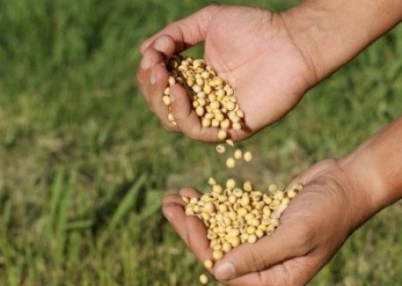 Soja pode subir mais? Veja o que fazer agora