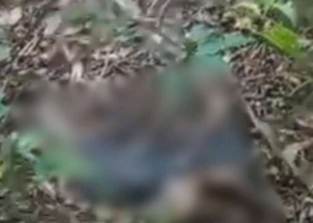Corpo em decomposição é encontrado perto do Horto Florestal