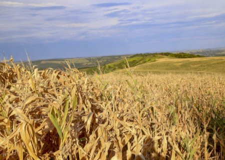 CMN amplia renegociação de dívidas para produtores afetados por eventos climáticos