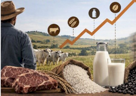 Do campo à gôndola: Por que o preço dos alimentos muda tanto