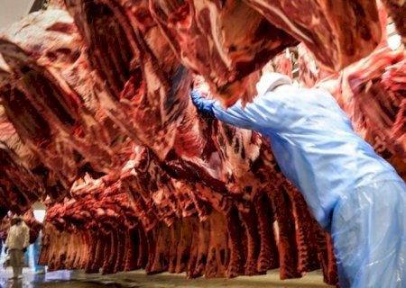 Exportações de carne bovina do Brasil caem 22% em agosto com forte recuo da China