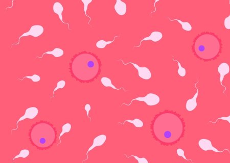 Infertilidade masculina é um problema silencioso e ainda ignorado