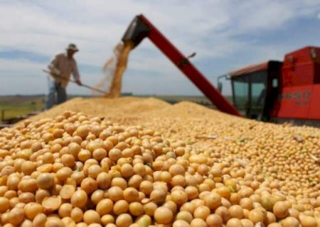 MS é 5º na produção de soja do Brasil e Maracaju retoma liderança estadual