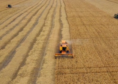 Produção global de soja cresce, mas consumo mantém mercado ajustado em 2026/27