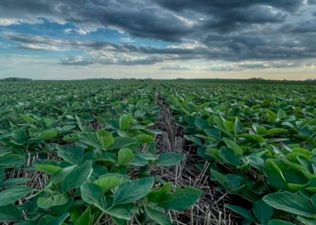 El Niño de 2026 pode trocar excesso de chuva por instabilidade dentro da mesma safra