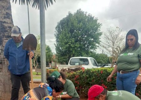 Capacitação em jardinagem e paisagismo promove plantio e cuidado com espaços públicos em Taquarussu