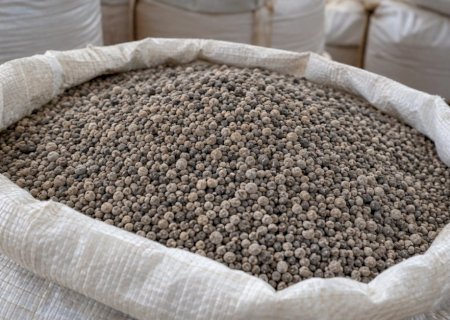 Enquanto Brasil discute risco de desabastecimento de fertilizantes, projeto gaúcho enfrenta barreiras para produzir fosfato
