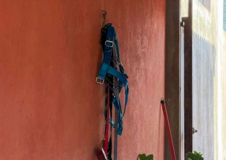 Homem tem músculos e tendões dilacerados ao ser mordido por pitbull