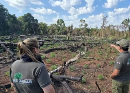 Combate ao tráfico agora inclui reflorestamento de áreas devastadas