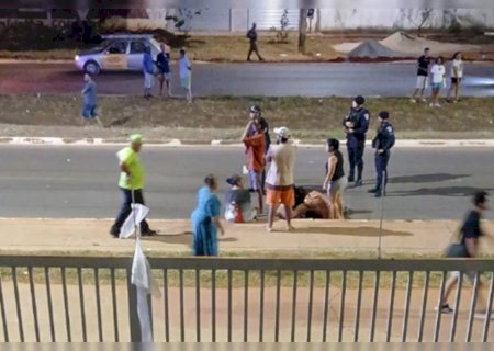 Criança de 11 anos é atropelada ao atravessar rua