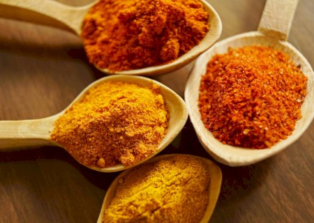 Derivado da cúrcuma mostra potencial para combater fungo causador de micose