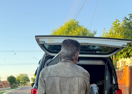 Polícia Civil cumpre prisão preventiva por descumprimento de medida protetiva em Batayporã