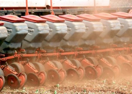 Com solo úmido, Mato Grosso do Sul lidera condições para a soja