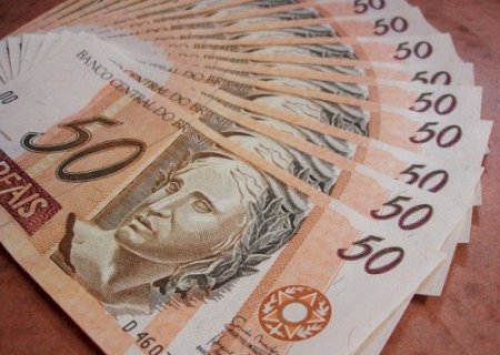 Reforma Tributária acende alerta no setor de sementes