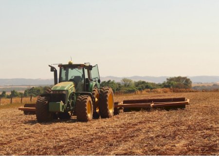 Plantio da soja alcança 36% da área no Paraná e preços recuam com valorização do real