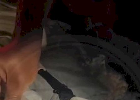 Boliviana que saiu de MS com cocaína líquida impregnada em roupa é presa em SP